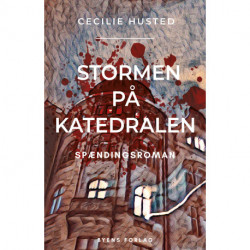 Stormen på Katedralen