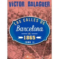 Las calles de Barcelona en 1865. Tomo II