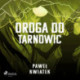 Droga do Tarnowic