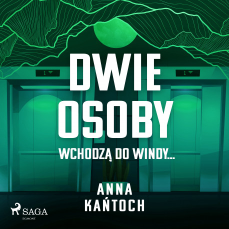 Dwie osoby wchodzą do windy...