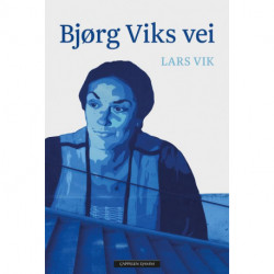 Bjørg Viks vei