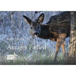 Amager Fælled