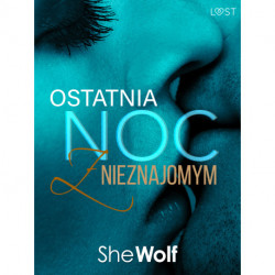 Ostatnia noc z nieznajomym – opowiadanie erotyczne