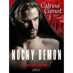Czarci dom 1: Nocny demon – seria erotyczna