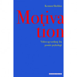 Motivation: Viden og værktøj fra positiv psykologi