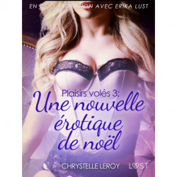 Plaisirs volés 3 - Une nouvelle érotique de noël