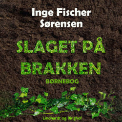 Slaget på Brakken