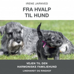 Fra hvalp til hund