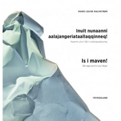 Is i maven!: 156 dage som kirurg i Nuuk