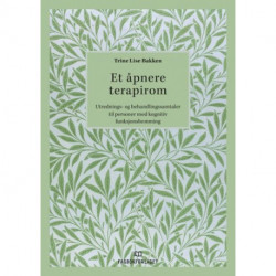 Et åpnere terapirom : utrednings- og behandlingssamtaler til personer med kognitiv funksjonshemming