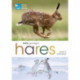 RSPB Spotlight Hares