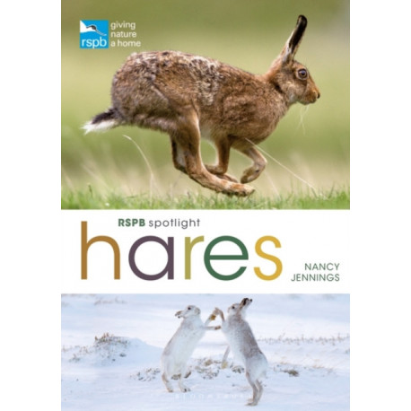 RSPB Spotlight Hares