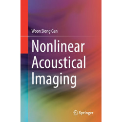 Nonlinear Acoustical Imaging