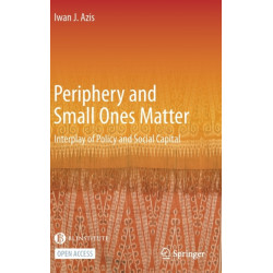 Periphery and Small Ones Matter: Interplay of Policy and Social Capital
