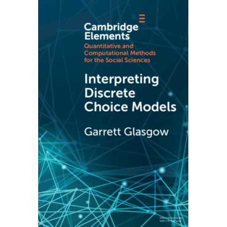 Interpreting Discrete Choice Models