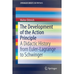 The Development of the Action Principle: A Didactic History from Euler-Lagrange to Schwinger