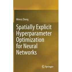 Spatially Explicit Hyperparameter Optimization for Neural Networks