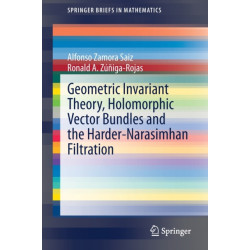 Geometric Invariant Theory, Holomorphic Vector Bundles and the Harder-Narasimhan Filtration