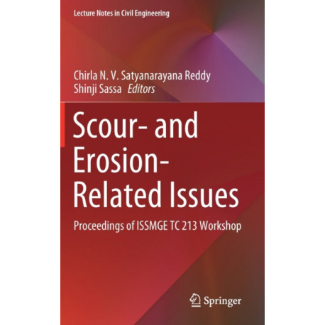 Scour- and Erosion-Related Issues: Proceedings of ISSMGE TC 213 Workshop