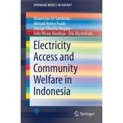 Electricity Access and Community Welfare in Indonesia