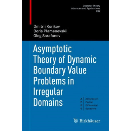 Asymptotic Theory of Dynamic Boundary Value Problems in Irregular Domains