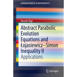 Abstract Parabolic Evolution Equations and Lojasiewicz–Simon Inequality II: Applications