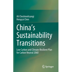 China's Sustainability Transitions: Low Carbon and Climate-Resilient Plan for Carbon Neutral 2060