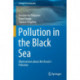 Pollution in the Black Sea: Observations about the Ocean's Pollution