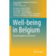 Well-being in Belgium: Beyond Happiness and Income