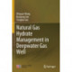 Natural Gas Hydrate Management in Deepwater Gas Well