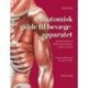 Anatomisk guide til bevægeapparatet: En praktisk guide til lokalisering af muskler, knogler med mere