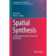 Spatial Synthesis: Computational Social Science and Humanities