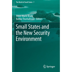 Small States and the New Security Environment