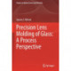 Precision Lens Molding of Glass: A Process Perspective