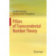 Pillars of Transcendental Number Theory