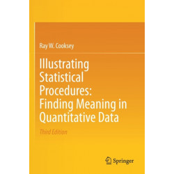Illustrating Statistical Procedures: Finding Meaning in Quantitative Data