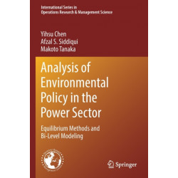 Analysis of Environmental Policy in the Power Sector: Equilibrium Methods and Bi-Level Modeling