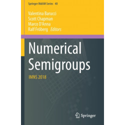 Numerical Semigroups: IMNS 2018