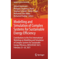 Modelling and Simulation of Complex Systems for Sustainable Energy Efficiency: Contributions to the First International Workshop on Modelling and Simulation of Complex Systems for Sustainable Energy Efficiency, MOSCOSSEE’2021, February 25-26, 2021