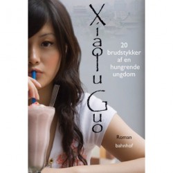 20 brudstykker af en hungrende ungdom: roman
