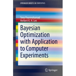 Bayesian Optimization with Application to Computer Experiments