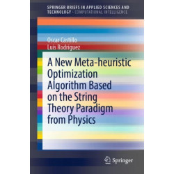 A New Meta-heuristic Optimization Algorithm Based on the String Theory Paradigm from Physics