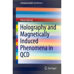 Holography and Magnetically Induced Phenomena in QCD