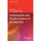 Fundamentals and Practical Aspects of Gas Injection