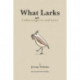 What Larks: Collected Light Verse and Lyrics