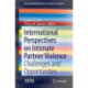 International Perspectives on Intimate Partner Violence: Challenges and Opportunities