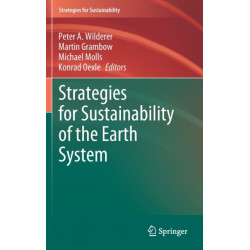 Strategies for Sustainability of the Earth System