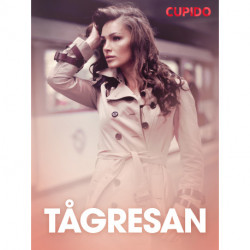 Tågresan - erotiska noveller