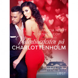 Valentinesfesten på Charlottenholm - erotisk novell