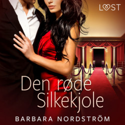 Den røde silkekjole – erotisk novelle